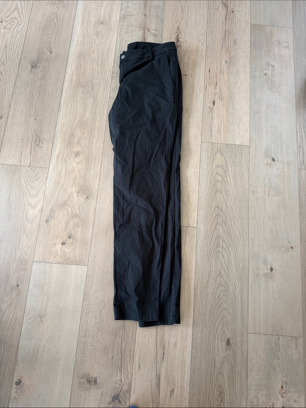 Bird dogs dress slacks